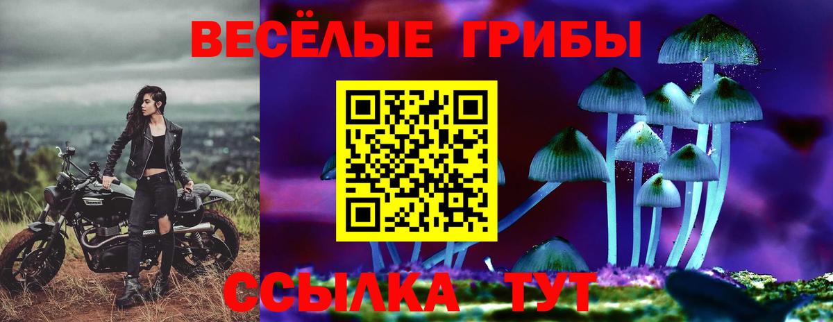 Псилоцибиновые грибы мицелий  Вход с VPN  Батайск 